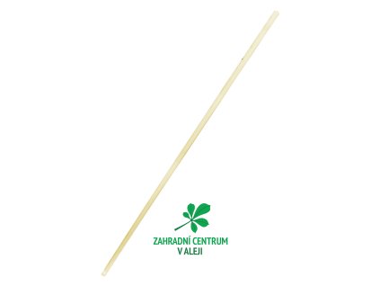 fbcb9a6a 1ca2 43d6 b58e 4094931169bf