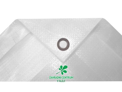 e937fff2 5489 4699 9ff9 2f03a6a02421