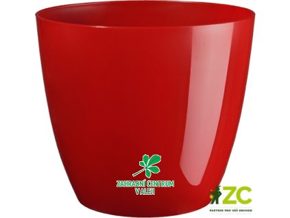 61dd11ac 5679 4d07 a63e faa39f7bb413