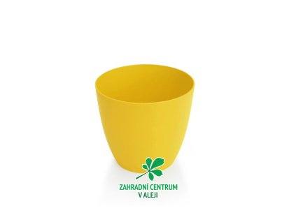 c439c17d 2565 4485 ba05 69069df12004