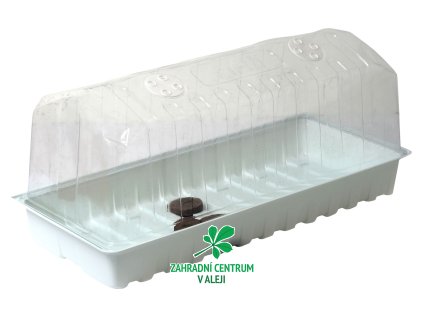 04c5cd0b 155f 4999 9f1d 5be72a06eeb1