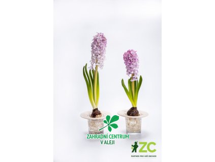 a18698c3 9cb6 478a b805 01b240d24747