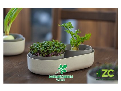 ffcfae9d a948 40d9 832d b76f2e72f28a