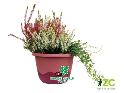 7e412ec8 233a 44eb 9221 84915d554b4f