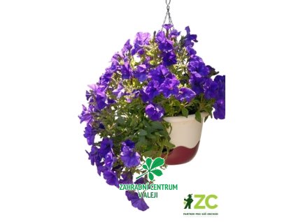 7413664c e0fc 4764 bad8 822eb15505e6