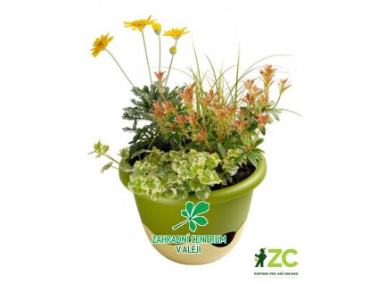 90b201c3 e7db 40e9 9328 9734fb4d537e