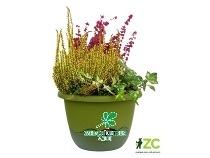 3a814c2f c97f 40cf 97ef d2f7a93e83d0