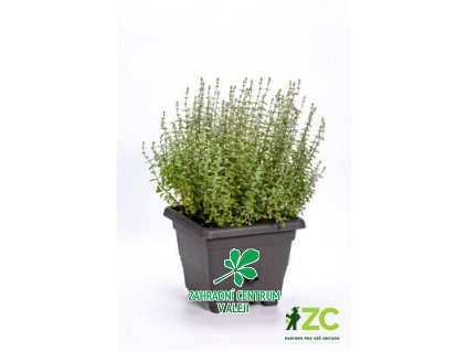 8952f9c4 88c3 4e73 8c49 e4ecfbc6439c