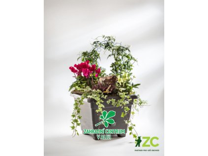 1b335e15 1b2b 43c6 92dd 088b79fb4e07