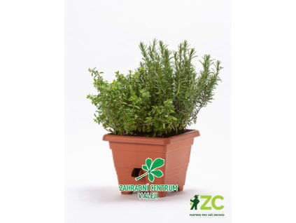 d70d0f04 1487 41cc 86db 4b55f696b910