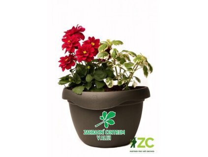 43b6360e f1d4 4bff b590 18a4467febcb