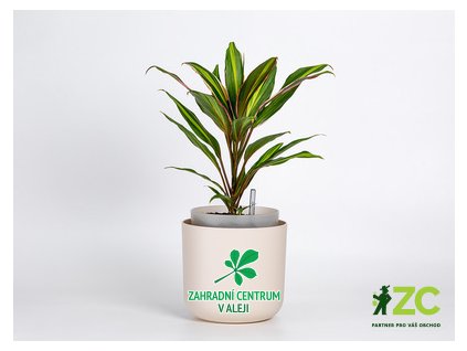 3346210a 42de 4efd ab83 87ae6aa6370f