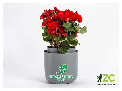 3baf1a11 eee8 43f0 9a31 bb4716825b47