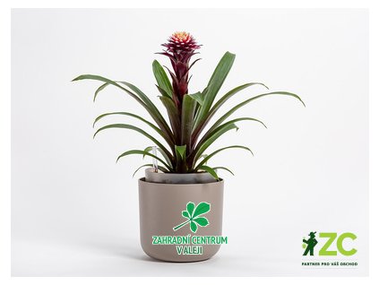 a7591efc 3a27 4be3 a50b b813bff0833c