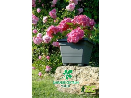 705d2c0a 62df 49c4 9384 20cfa6a7f810