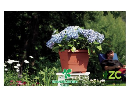 8f37dbb5 d97b 40f5 8391 d0d46f2b9598