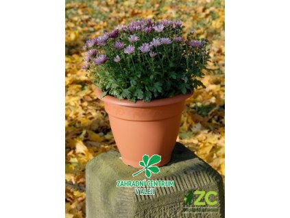 a5a911af 1dbf 4ecf a8b7 63d585050d51