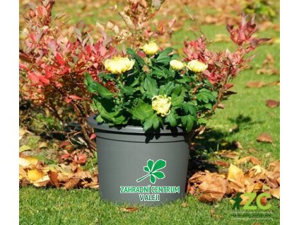 a9b5b07b 6976 4030 8a49 bc23ec45d14b