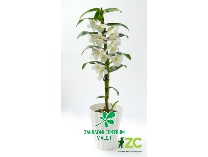 620364b3 46a0 4733 b2bf a05435f5fcc9