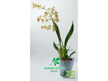 d380b797 e3a6 4adc b867 b97ce670195a