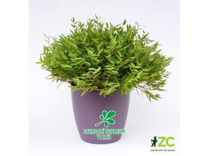 da96c5bb bc39 4de0 906d f1191cdd2629