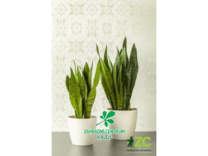 63ac4adf 777b 4b1f 9f3a aedc6693a4b8