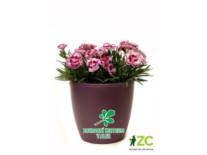 3c25810b 77b1 4f08 a069 77a375d6a1ed