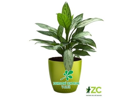 1f5c098d fe63 4713 9cab 3f2c2c11e46b