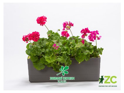 8dfbff6a 9aee 4c73 8197 d35b3b8af3ea