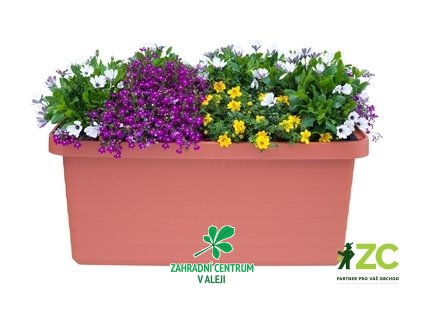 81dcbe69 c164 4548 962b db526f089b00