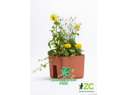 363196b2 de9b 400d af14 f1ee82ca6e7e