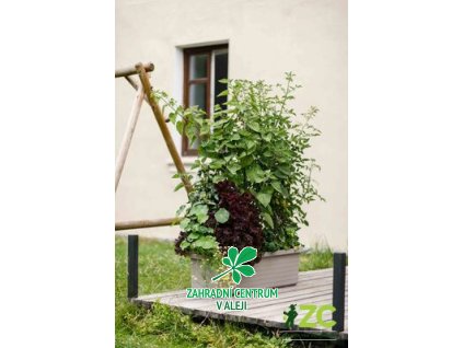 374ec66f 49a0 484f 8717 8ac2c471e2d6