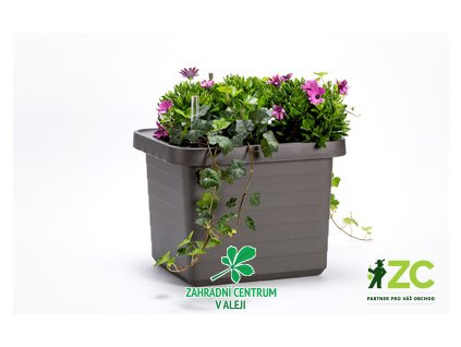 ac7368a3 172b 4751 93f0 51379f55aef9