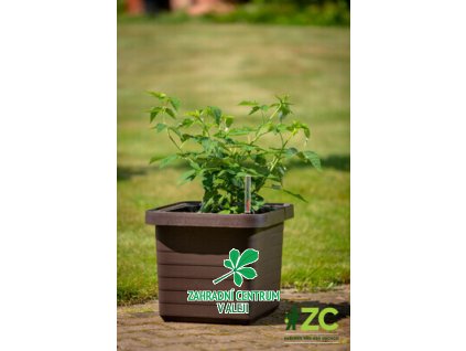 f00e5022 4688 4ced 9210 eed0d383a0d1