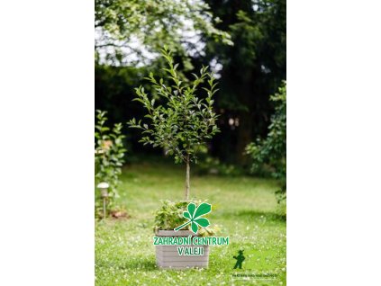 d03f81bf e893 43ce ac67 5dbcb8e00bdb