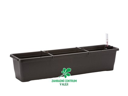 a0430a45 c5f6 4fae 830a 1302686bc6ab