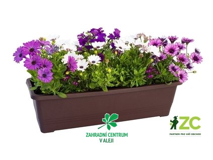 31f41add 3994 4bec b7c6 ba776ae4d69b