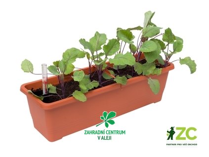 8c37db94 cd36 4495 8211 5fb446e06ffa