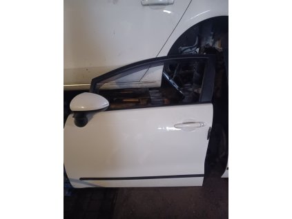Přední levé dveře Kia Rio
