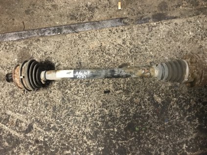 CFC7F61D 4CF6 4DF5 BB99 FA03743EE4E7