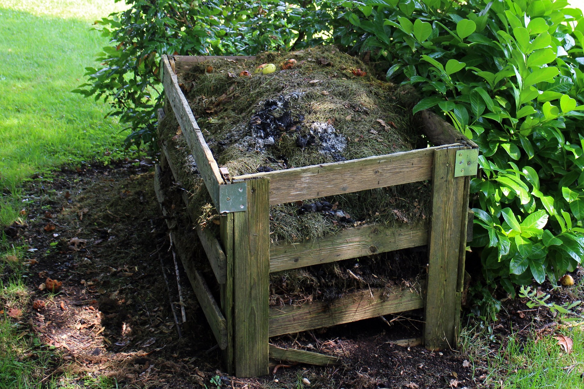 antranias-compost-419259_1920