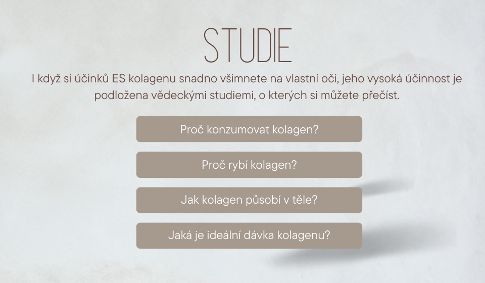 Studie