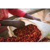 eskomat beberry burundi popis