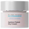 224 ageless future day cream.png