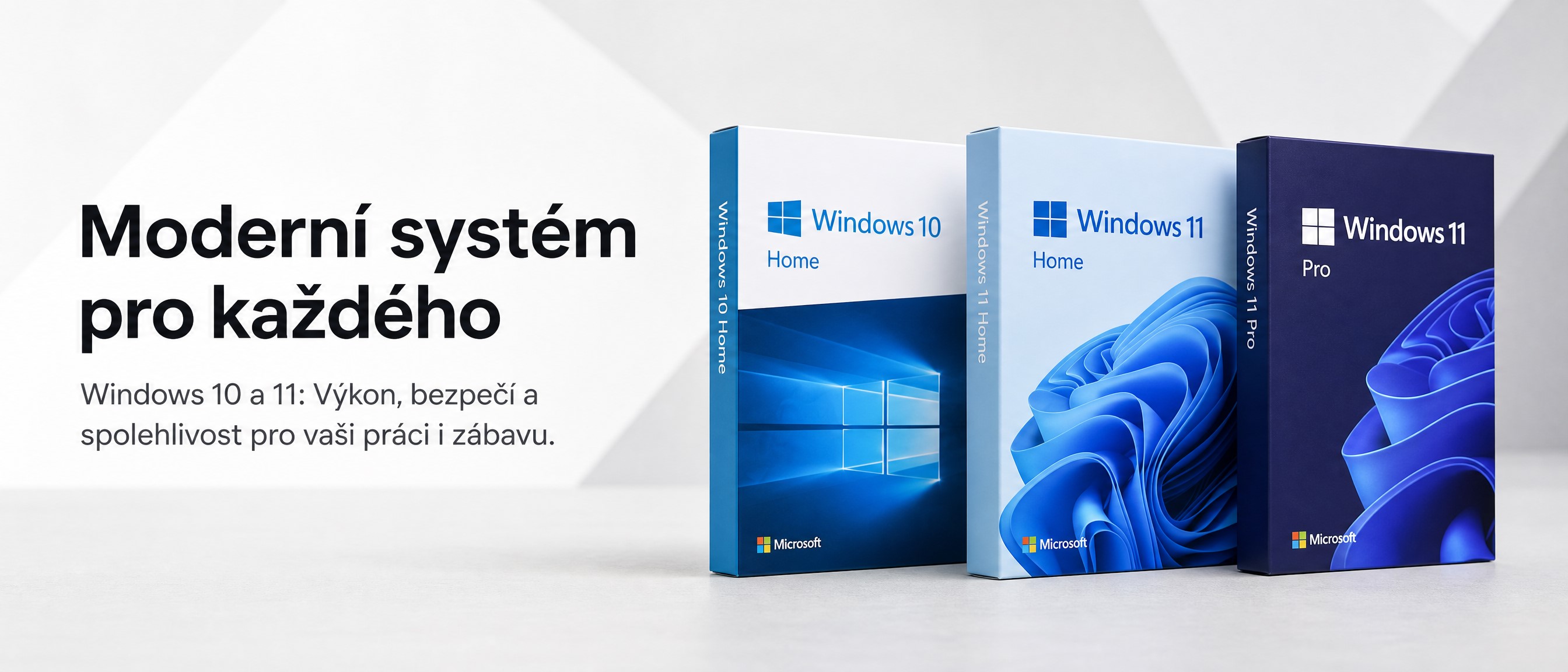 Windows 10 Home, Windows 11 Home, Windows 11 Pro