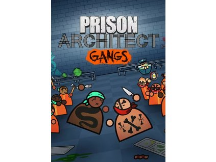 packshot 413b8cbc1fb992841a4d5d2090eb8b0c