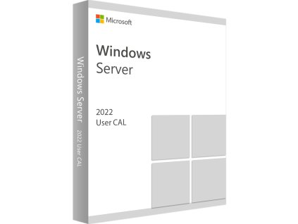 Windows Server 2022 Remote Desktop Services (5 User CAL)