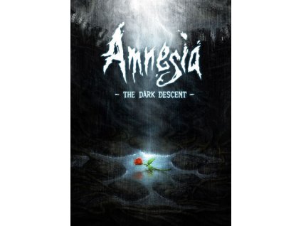 289473 amnesia the dark descent linux front cover