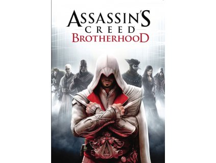 366877 assassin s creed brotherhood windows other