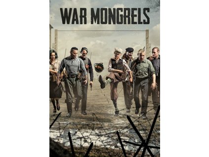 packshot aac0e087bda53ecbfbca67afd8952165